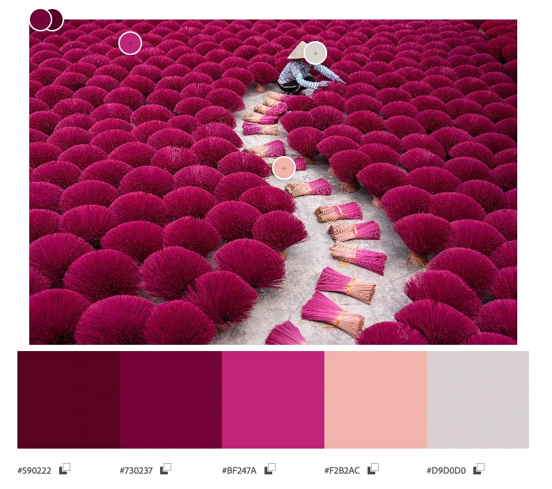 Colour palette extraction from an image